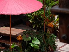 -拾光音乐餐酒吧(告庄星光夜市店)