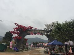 -天适樱花悠乐园