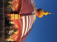 -俄罗斯国家大马戏团