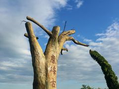 -长沙黑麋峰国家森林公园