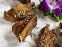 -墨脱石锅椰子鸡•香草鸭•东山羊(大东海店)