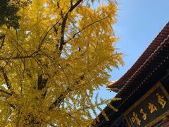 -宝通禅寺
