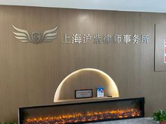 -上海领胜律师团队·法律咨询