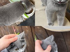 -富桂厨房
