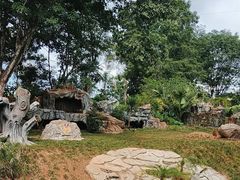 -海南热带野生动植物园