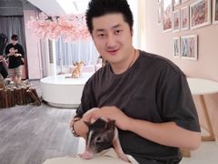 -浣熊柯尔鸭土拨鼠·电玩咖