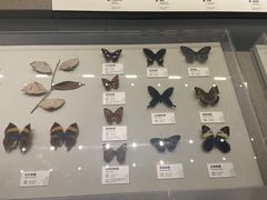-四川大学博物馆