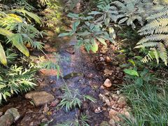 -海南热带雨林国家公园吊罗山景区