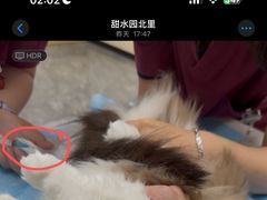 -美联众合爱康动物医院•复杂内科•肿瘤科•牙科•腔镜诊疗中心