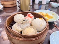 -富春茶社(国庆路店)