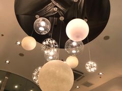 -飞行喵MR PILOT|猫舍·猫咖(静安大融城店)