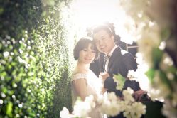 点击看大图 -天一婚纱摄影TIA STUDIO(珠海路店)
