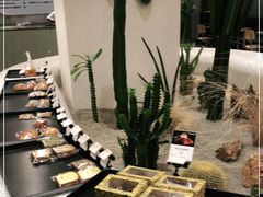 -OUR Bakery(SKP-S店)