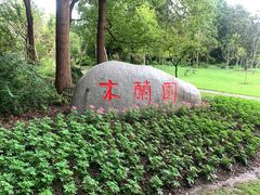 -上海滨江森林公园