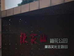-陈家山荷花公园