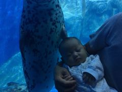 -多彩贵州城极地海洋世界