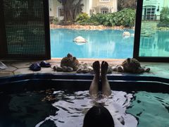 -佛山祈福仙湖酒店