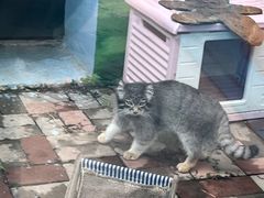 -青藏高原野生动物园