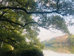 -雨湖公园