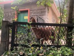 -无锡动物园·太湖欢乐园