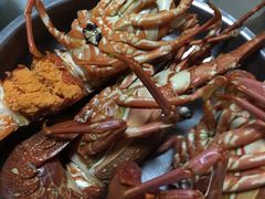 小青龙-盒马鲜生(曜一城店)