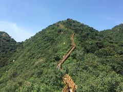 -大岭沟猕猴桃谷风景区