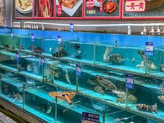 -强记海鲜·大排档(蛇口新街店)