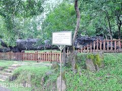 -唐崖土司城遗址