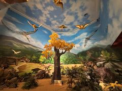 -安徽省地质博物馆