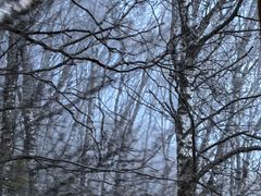 -驼梁风景区