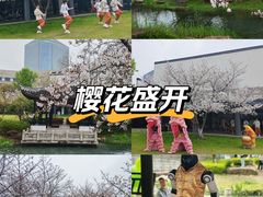 -苏州独墅湖世尊酒店