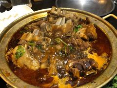 -友乐居羊蝎子(西直门店)