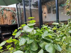 -外婆船宴餐厅·外婆喊你回家吃饭