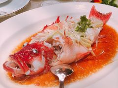 东星斑-8餐厅(新葡京酒店)