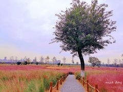 -汉长安城未央宫国家考古遗址公园