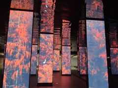 -中国湿地博物馆