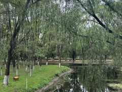 -长白岛森林公园