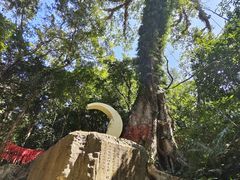 -七仙岭温泉国家森林公园