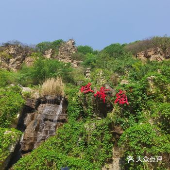 现在正值黄栌花开，期待秋天的红叶满天。