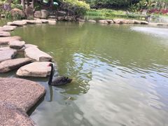 -呀诺达热带雨林