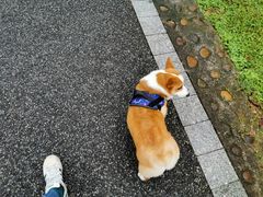 -松山湖南湖湾露营营地