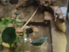 -东门头·江鲜小馆(新天地店)