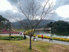 -广州市石门国家森林公园