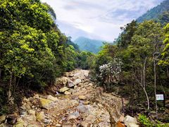 -姑婆山旅游区