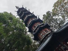 -上海佘山国家森林公园西佘山园