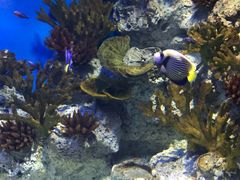 -福州罗源湾海洋世界旅游区