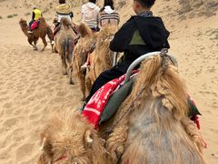 -黄沙古渡原生态旅游区