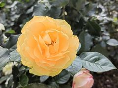 -人民公园(罗湖区)