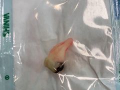-维乐口腔(美维云门诊陆家嘴店)