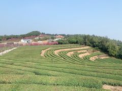 -锄山村